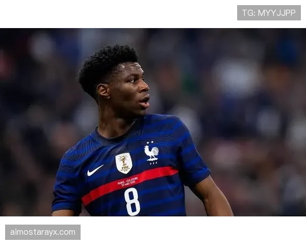 琼阿梅尼国家队地位是否被高估？战术适配与实战表现分析